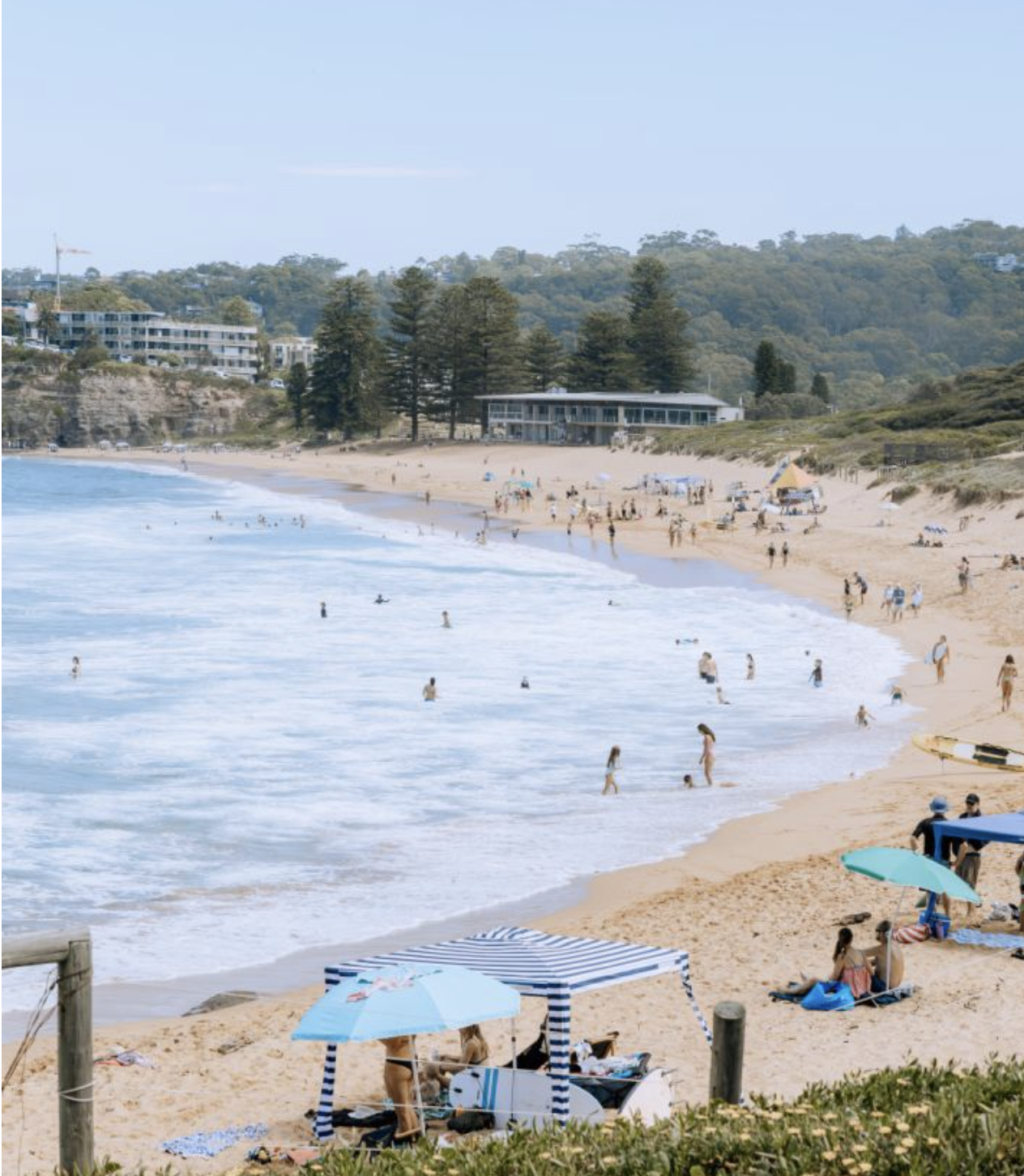Avalon Beach Property